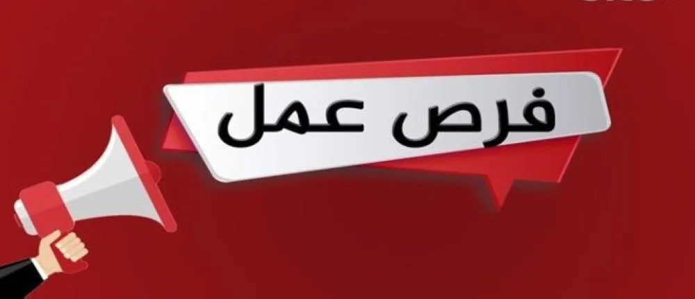 فرصة عمل في المجال الإعلامي: تحرير.. تقديم.. مونتاج.. تصوير….